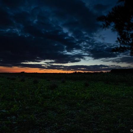 ホテル Pannonia Terranova Vardarac エクステリア 写真