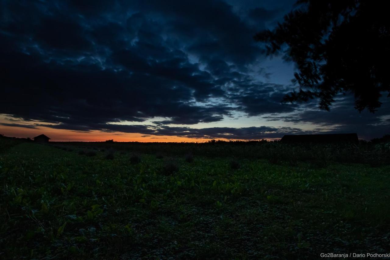 ホテル Pannonia Terranova Vardarac エクステリア 写真