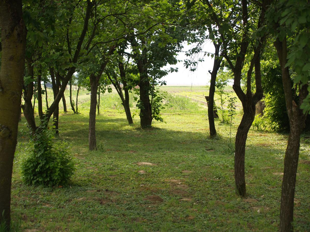 ホテル Pannonia Terranova Vardarac エクステリア 写真